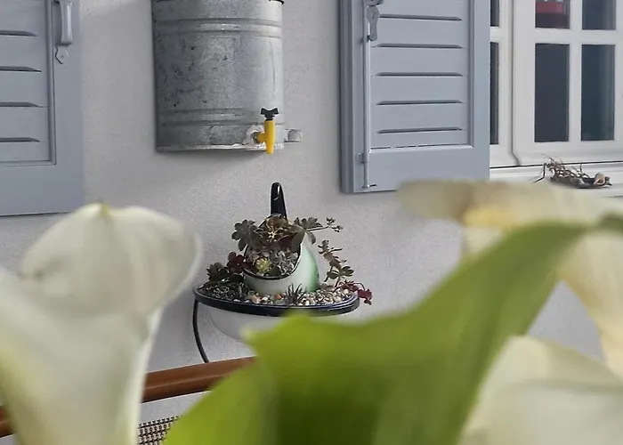 Emilia's * Ано-Сирос